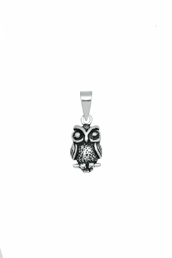 Colgante Búho Guardián de Plata