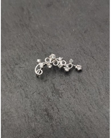 Pendientes trepador rama circonita