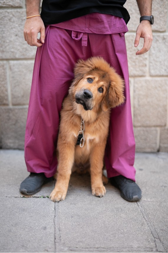 Pantalon Tailandés Algodón Pantalon Tailandés Algodón