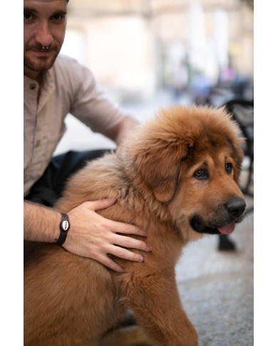 Pulsera Cuero Cauri Macramé