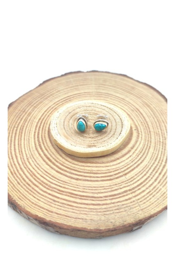 Pendientes Plata Gota