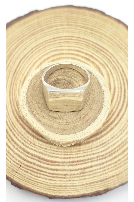 Anillo de Sello plata Anillo de Sello plata