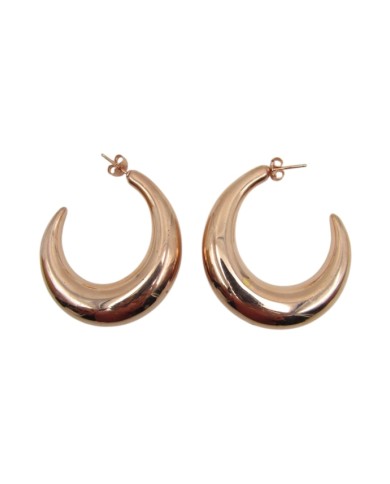 Aros plata Rosa lisos Jhoom