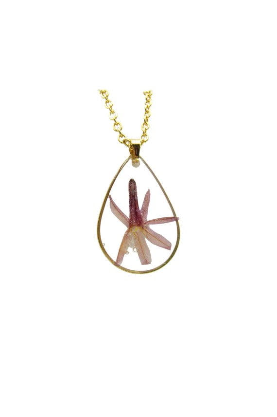 Collar Resina Pegeas Collar Resina Pegeas