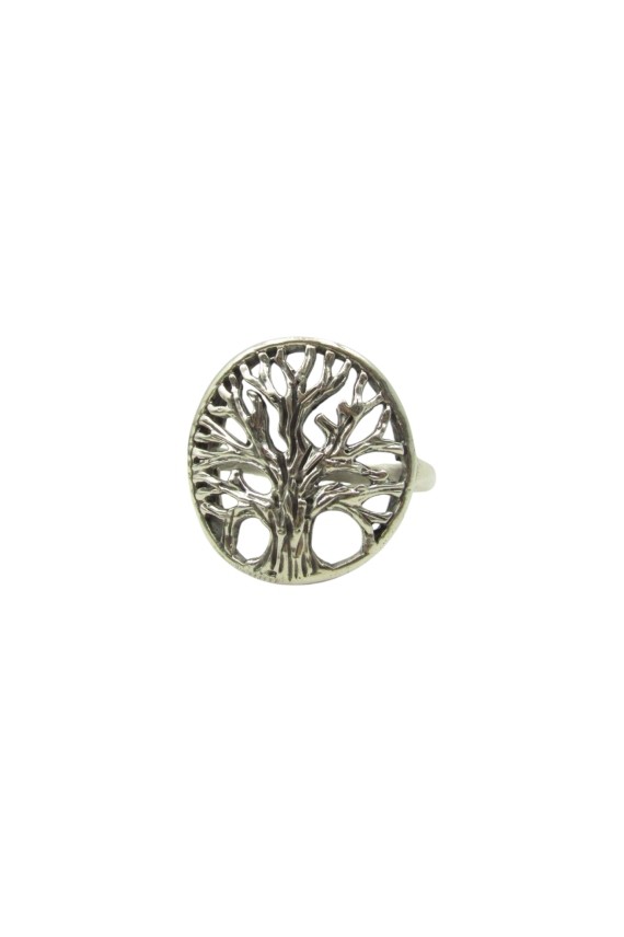 Anillo Plata Arborvitae