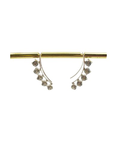 Pendientes Trepador Plata circonitas Luz