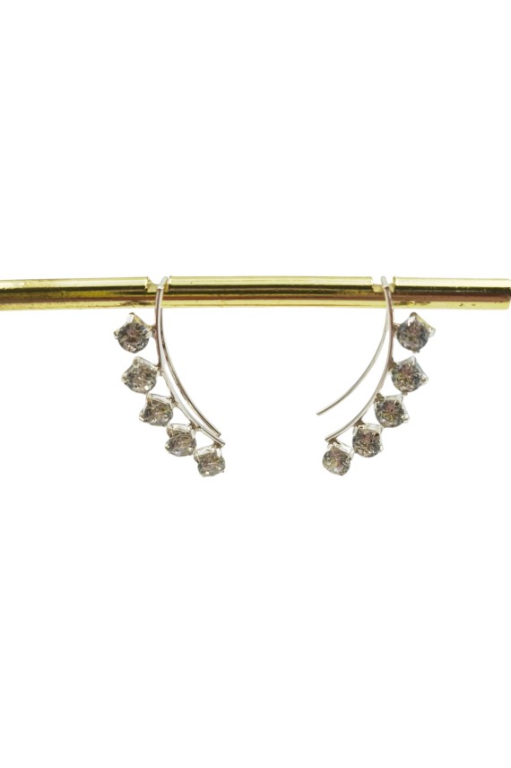 Pendientes Trepador Plata circonitas Luz