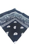 Pañuelo Bandana Paisley