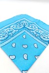 Pañuelo Bandana Paisley