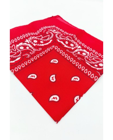 Pañuelo Bandana Paisley