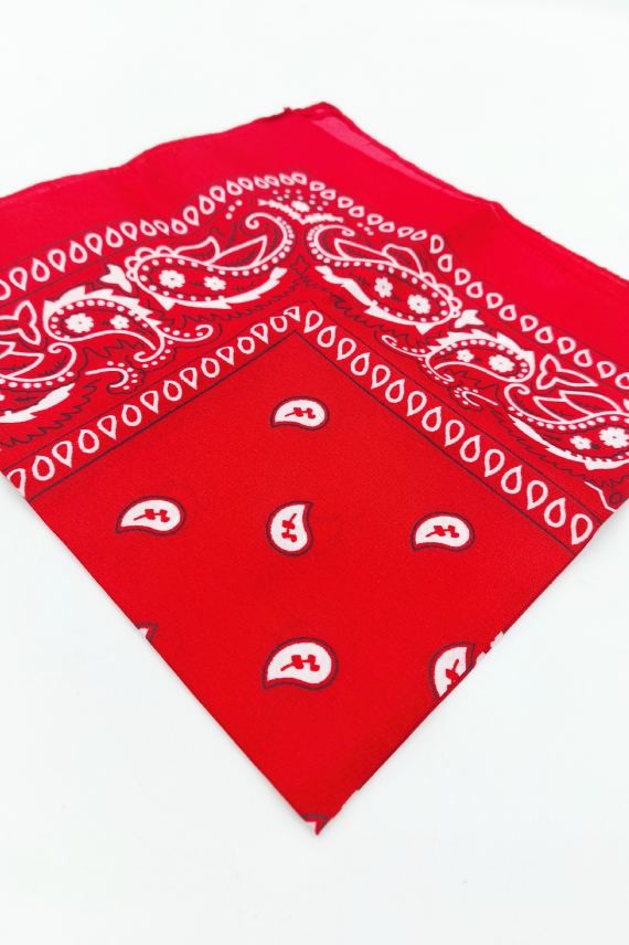 Pañuelo Bandana Paisley