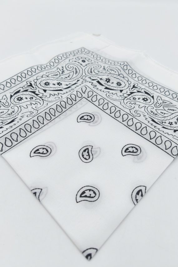 Pañuelo Bandana Paisley