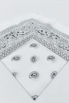 Pañuelo Bandana Paisley