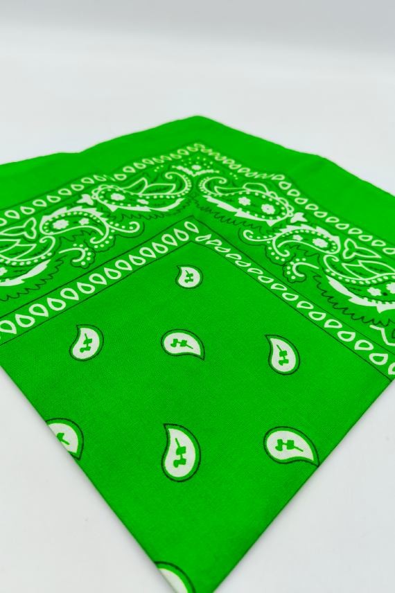 Pañuelo Bandana Paisley
