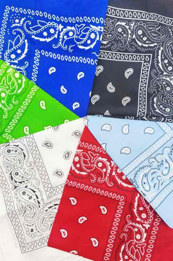Pañuelo Bandana Paisley