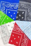 Pañuelo Bandana Paisley