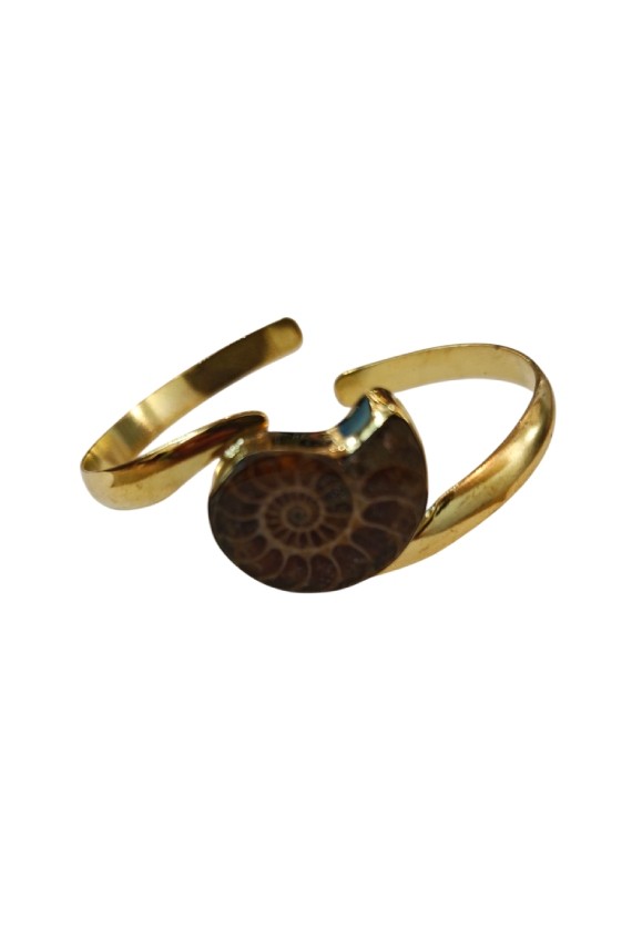 brazalete dorado con fósil de amonita auténtica joya artesanal ajustable