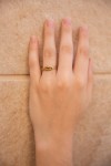Anillo SansaStark House of the dragon Anillo SansaStark House of the dragon